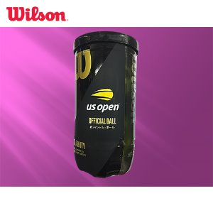 윌슨 US OPEN 테니스공 시합구 1캔(2볼)테니스라켓,베드민턴라켓